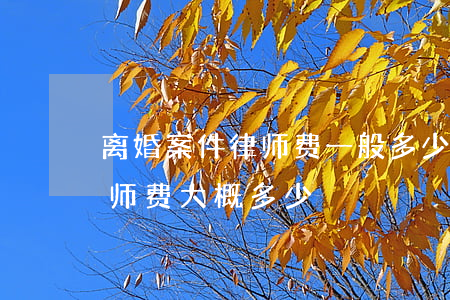 离婚案件律师费一般多少钱(一般的离婚案律师费大概多少)