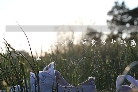 离婚案件律师费多少钱(离婚案律师的收费标准)