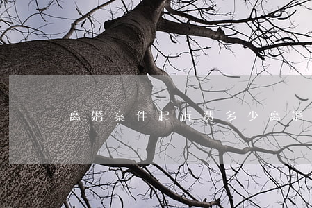 离婚案件起诉费多少(离婚诉讼起诉费多少钱)