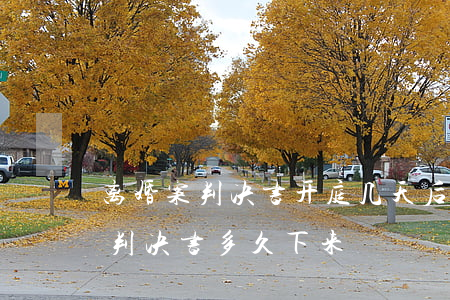离婚案判决书开庭几天后下来(当庭宣判离婚判决书多久下来)