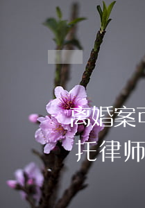 离婚案可以全权委托律师吗(离婚可以完全委托律师吗)