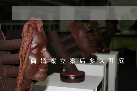 离婚案立案后多久开庭