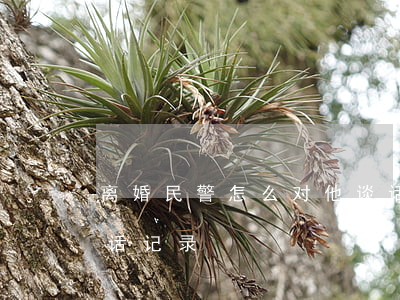 离婚民警怎么对他谈话记录(领导和民警的谈话记录)