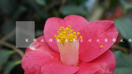 离婚流程需要多长时间(离婚流程离婚)