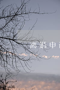 离婚申诉书怎样写