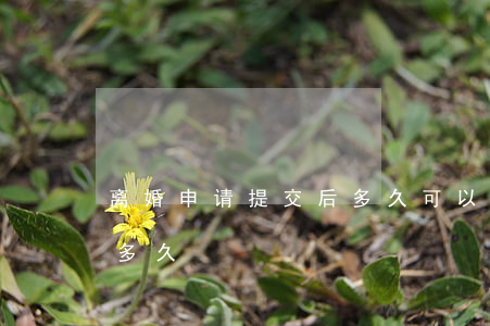 离婚申请提交后多久可以办理(离婚申请需要多久)