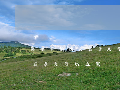 离婚申请提交后多久可以立案(离婚申请提交后多久可以立案)