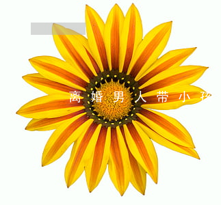离婚男人带小孩能嫁吗