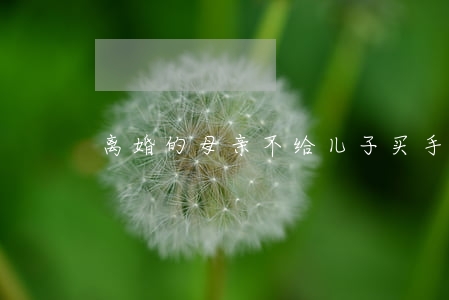 离婚的母亲不给儿子买手机犯法吗