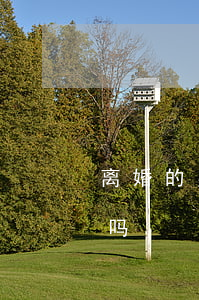离婚的男人可以送亲嘛(离过婚的人可以接亲吗)