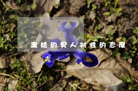 离婚的男人对性的态度
