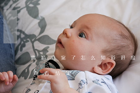 离婚立案了怎么知道进度呢(离婚案审结如何查看结果)