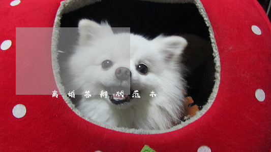 离婚答辩状范本