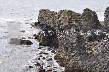 离婚纠纷法院是否处理共同债务部分