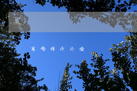 离婚经济补偿