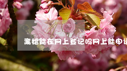 离婚能在网上登记吗(网上能申请离婚吗?)