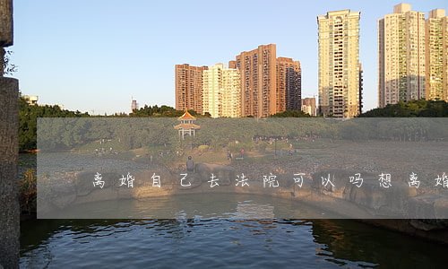 离婚自己去法院可以吗(想离婚怎么上法院)