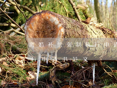 离婚补偿强制执行申请书(离婚抚养费强制执行申请书范文)