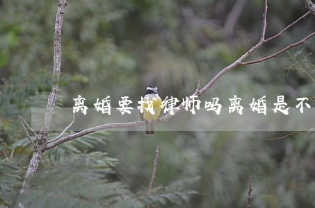 离婚要找律师吗(离婚是不是一定要找律师)