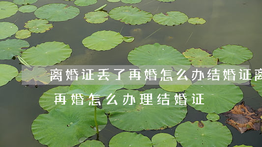 离婚证丢了再婚怎么办结婚证(离婚证丢失后再婚怎么办理结婚证)