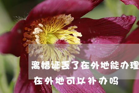 离婚证丢了在外地能办理结婚吗(离婚证丢了,在外地可以补办吗)