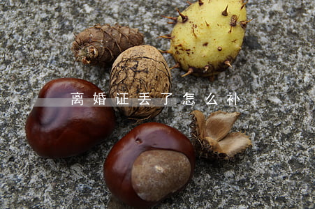 离婚证丢了怎么补
