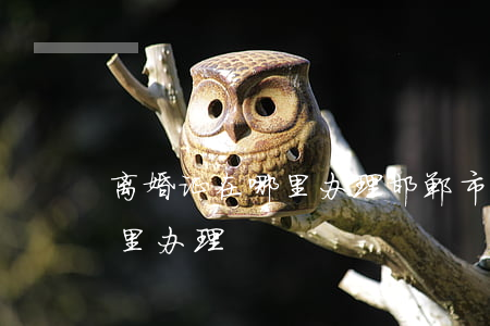 离婚证在哪里办理(邯郸市丛台区离婚证在哪里办理)