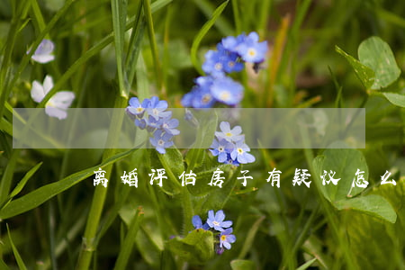 离婚评估房子有疑议怎么办