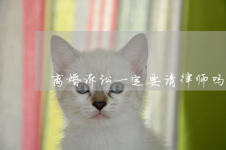 离婚诉讼一定要请律师吗(离婚要不要请律师?)