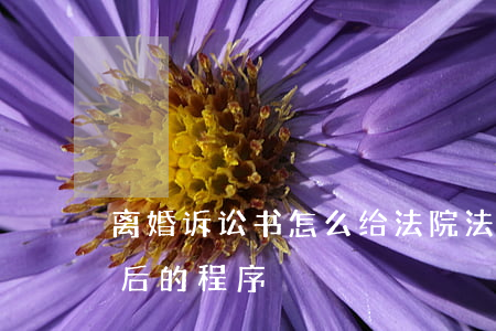 离婚诉讼书怎么给法院(法院接到离婚诉讼书后的程序)