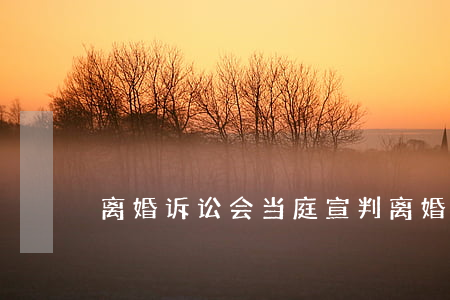 离婚诉讼会当庭宣判(离婚开庭会当庭宣判吗)