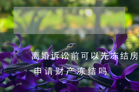 离婚诉讼前可以先冻结房产吗(起诉离婚可以申请财产冻结吗??)