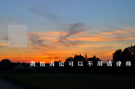 离婚诉讼可以不用请律师吗