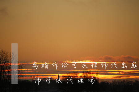 离婚诉讼可以律师代出庭吗(起诉离婚开庭律师可以代理吗)