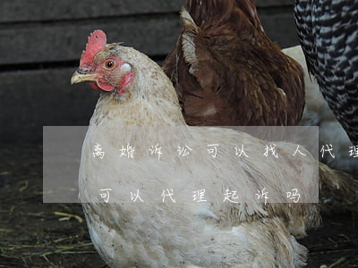 离婚诉讼可以找人代理起诉吗(起诉离婚律师可以代理起诉吗)