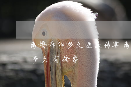 离婚诉讼多久送达传票(离婚诉讼法院受理后多久有传票)