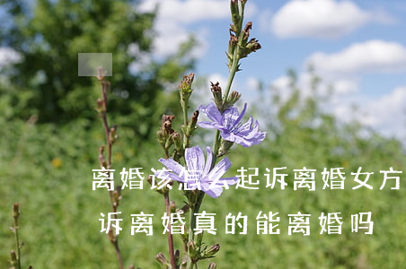 离婚该怎么起诉离婚女方出轨(女人出轨还起诉离婚,真的能离婚吗)