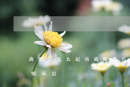 离婚该怎么起诉离婚男方出轨(出轨方提起离婚诉讼)