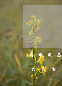 离婚该怎么起诉离婚需要多少钱(起诉离婚一共需要多少钱)