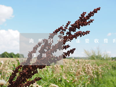 离婚财产公证要收费吗(离婚财产公证处公证费用)