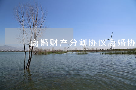 离婚财产分割协议(离婚协议财产分配怎么写)