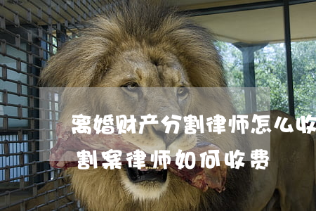 离婚财产分割律师怎么收费标准(离婚房产分割案律师如何收费)