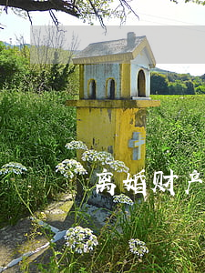 离婚财产如何调查(办离婚的时候会查财产吗)