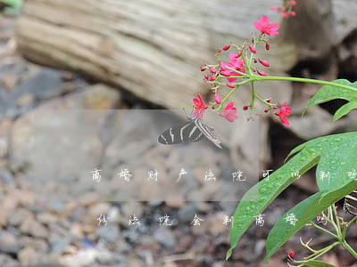 离婚财产法院可以判吗(起诉离婚没有财产纠纷法院会判离婚吗)