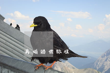 离婚赔偿标准