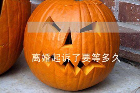 离婚起诉了要等多久