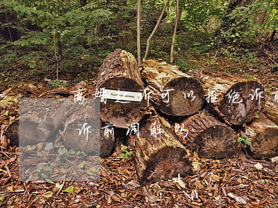 离婚起诉可以拒绝诉前调解吗(离婚案件必须诉前调解吗)