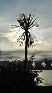 离婚起诉多少钱费用(离婚起诉需要多少钱费用)