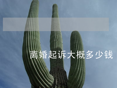 离婚起诉大概多少钱