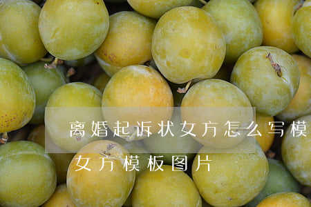 离婚起诉状女方怎么写模板(离婚起诉书范文 女方模板图片)